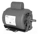 ANTI OXIDANT COMPOUND