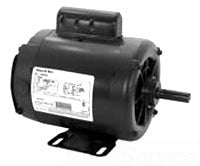 ANTI OXIDANT COMPOUND